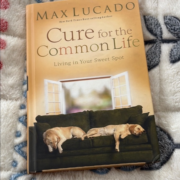 Max Lucado 'Cure for the Common Life' Book - Picture 1 of 1